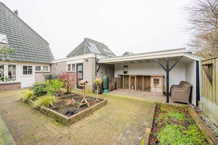 Foto 31 van Pinksterbloem 4