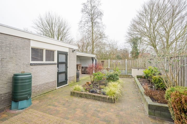 Foto 32 van Pinksterbloem 4