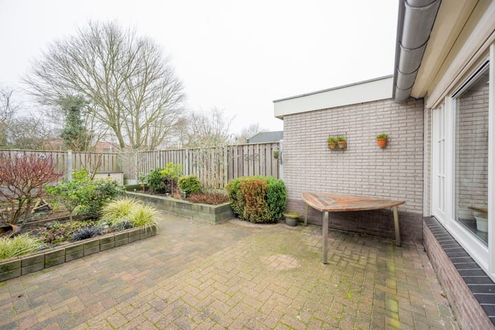 Foto 33 van Pinksterbloem 4