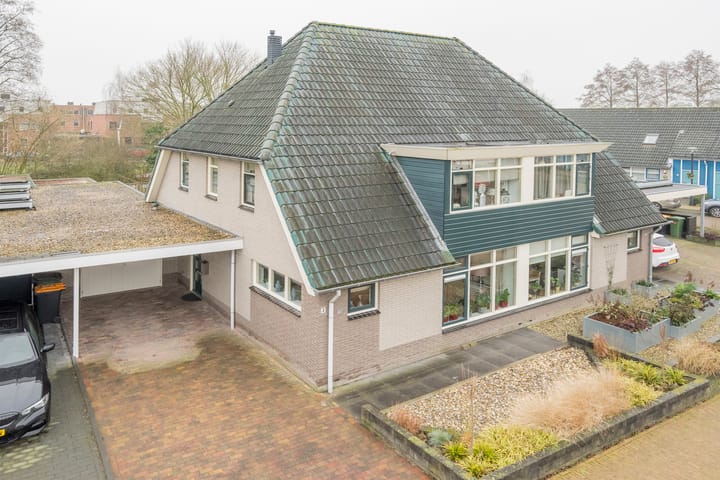 Foto 35 van Pinksterbloem 4