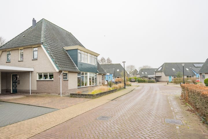 Foto 36 van Pinksterbloem 4