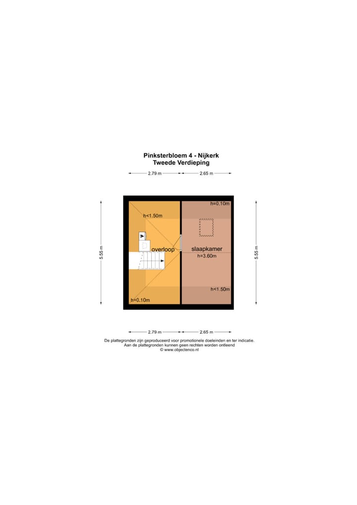 Foto 39 van Pinksterbloem 4