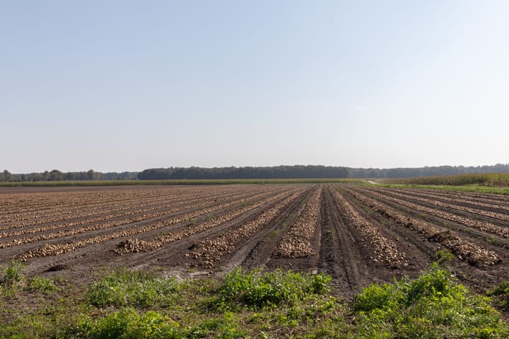 Foto 49 van Heringhebrink 27