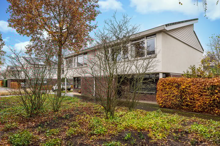 Foto 1 van Zandzwaluw 14