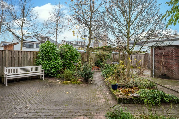 Foto 2 van Zandzwaluw 14