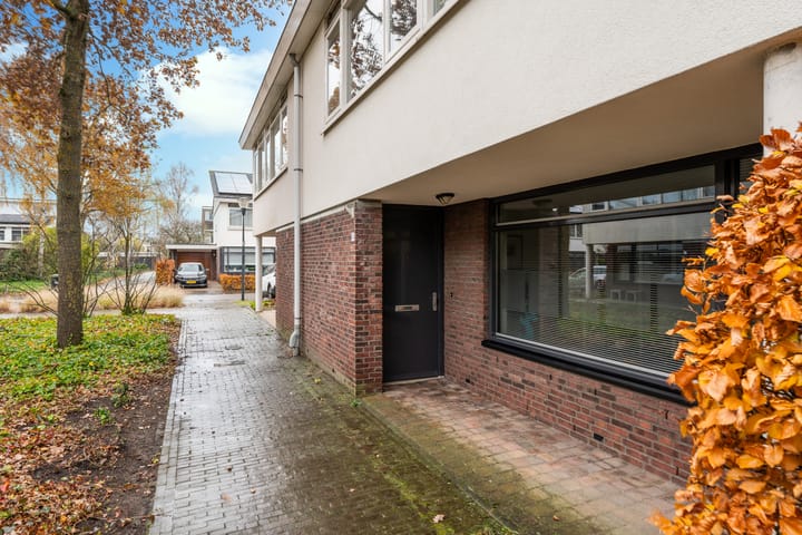 Foto 4 van Zandzwaluw 14