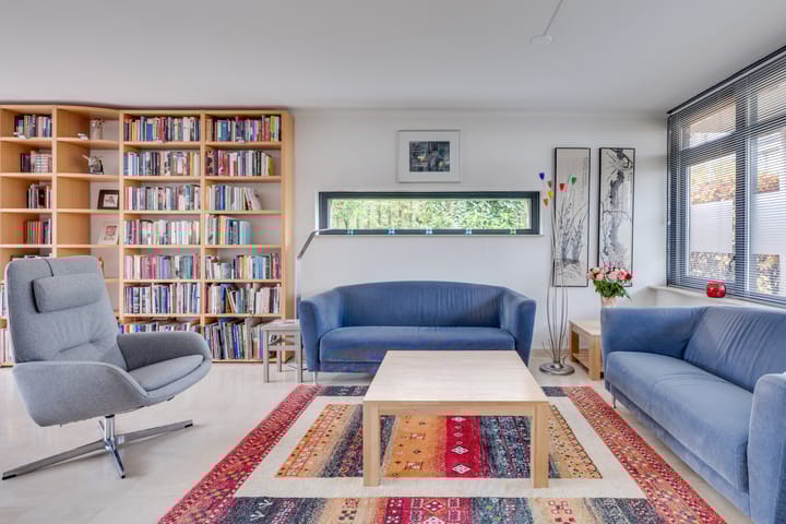 Foto 6 van Zandzwaluw 14