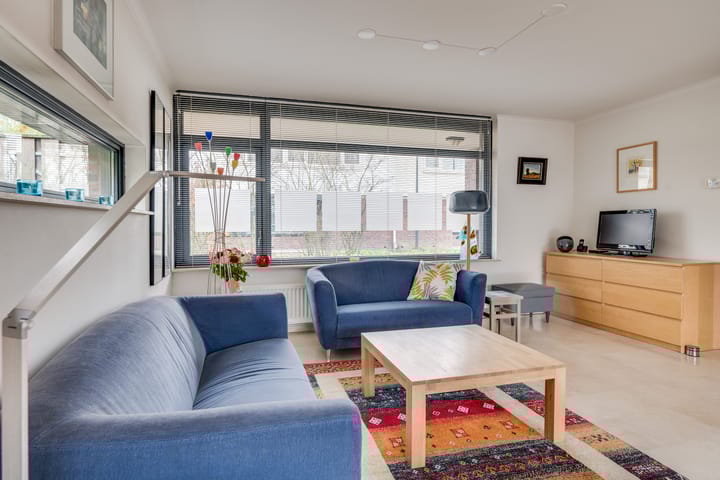 Foto 7 van Zandzwaluw 14