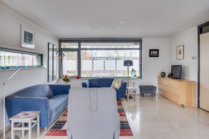 Foto 8 van Zandzwaluw 14