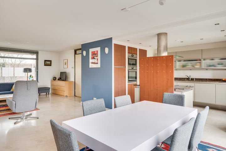 Foto 12 van Zandzwaluw 14