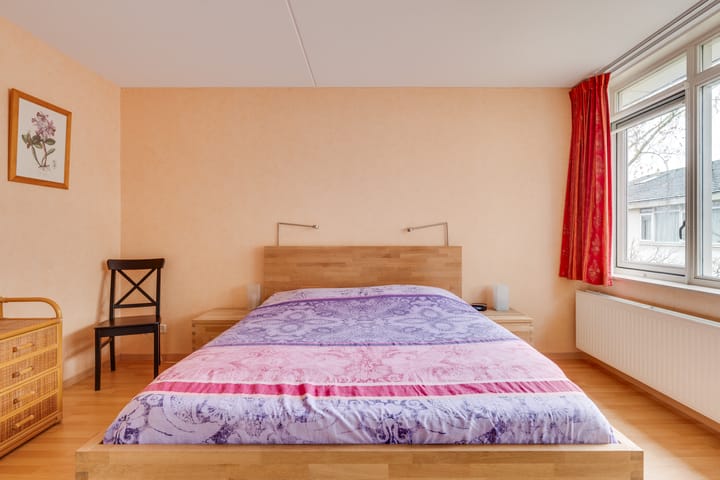 Foto 18 van Zandzwaluw 14