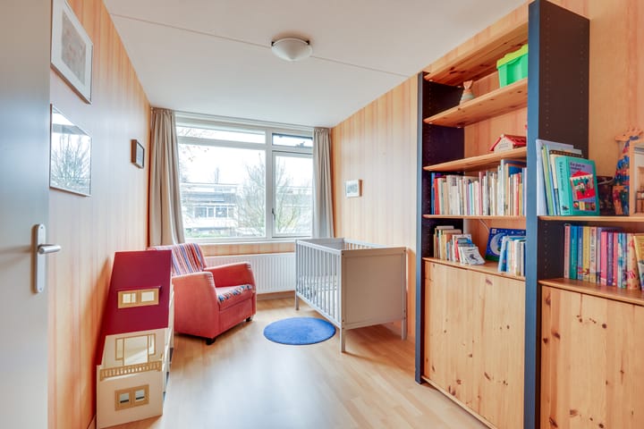 Foto 24 van Zandzwaluw 14