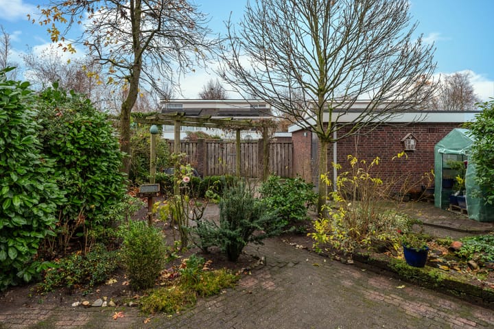 Foto 26 van Zandzwaluw 14