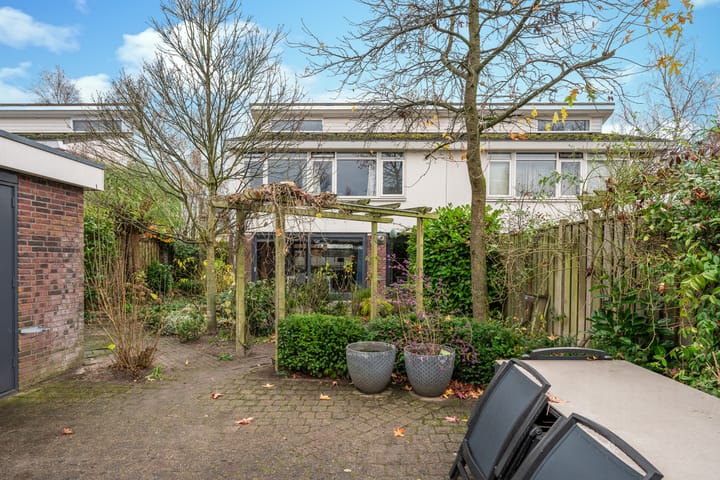 Foto 28 van Zandzwaluw 14