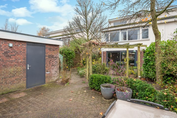 Foto 30 van Zandzwaluw 14