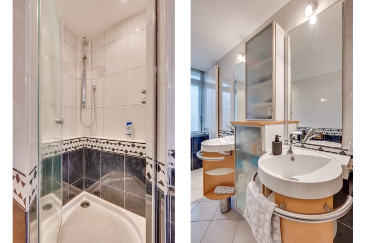 Foto 21 van Zandzwaluw 14