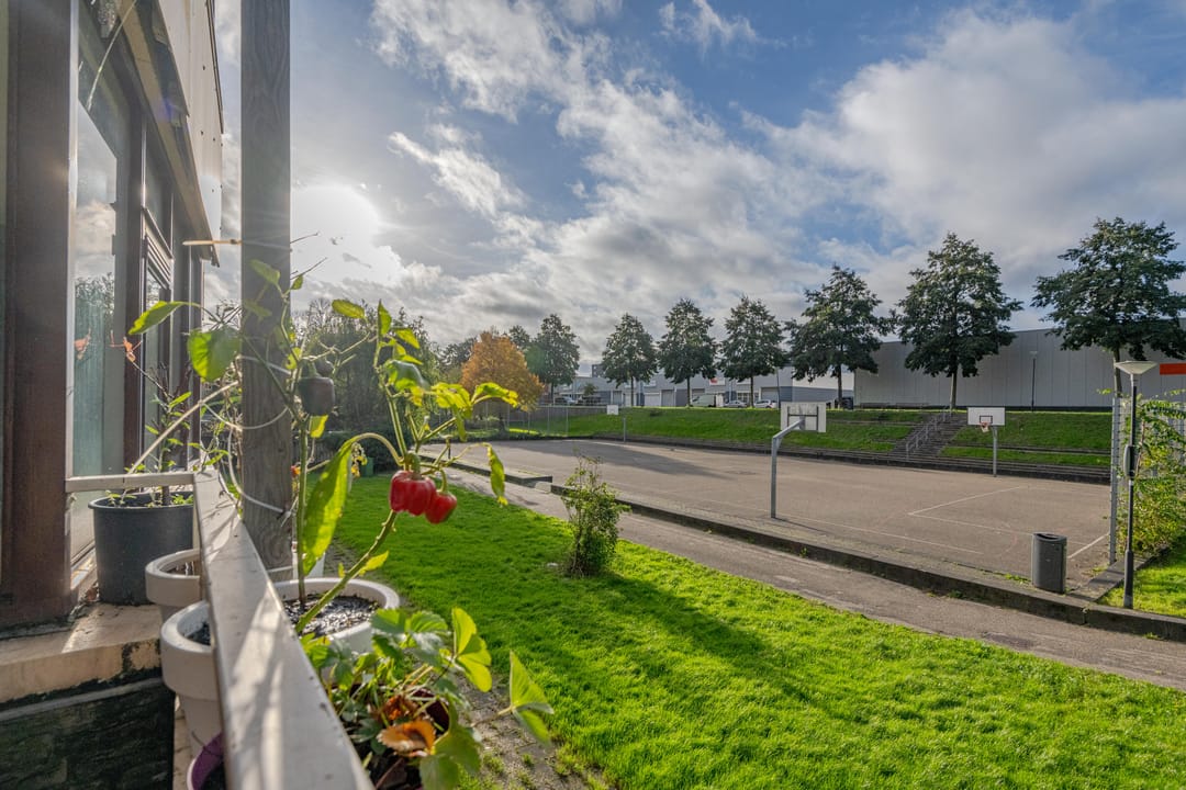 Foto 1 van Zuidhoek 205-B