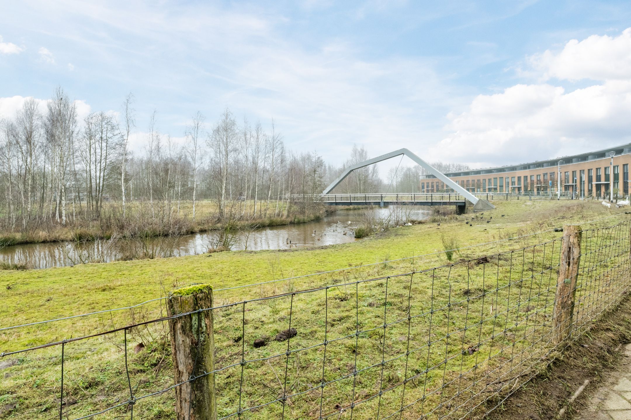 Photo 42 of Ommenstraat 19