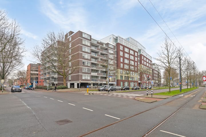 Foto 21 van Delflandseweg 263