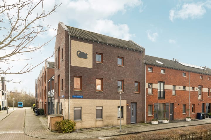 Foto 33 van Mazureplantsoen 34