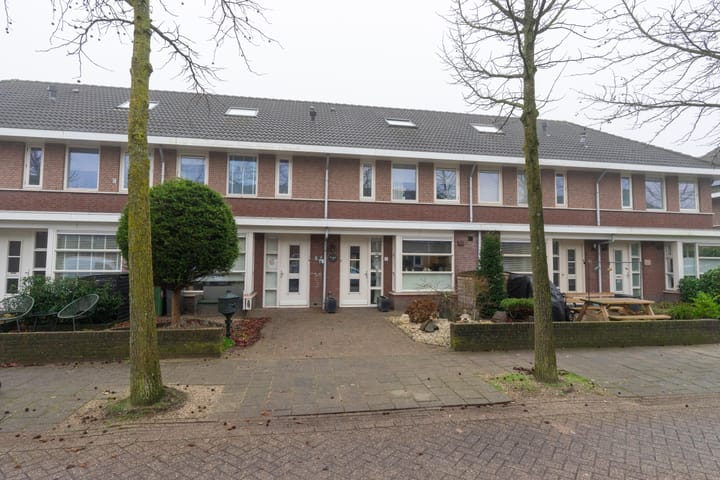 undefined main image