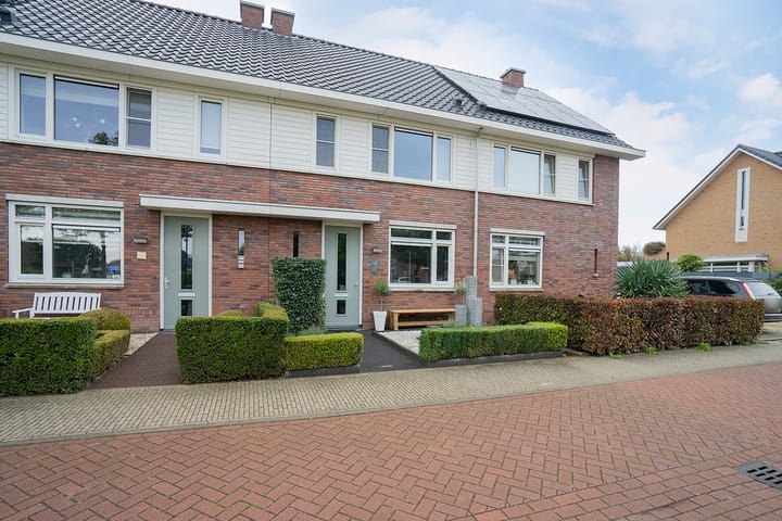 Foto 7 van Paardenbloem 18