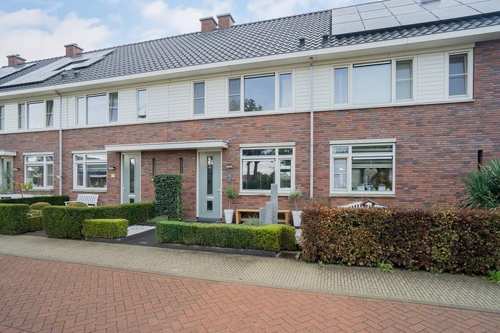 Foto 8 van Paardenbloem 18