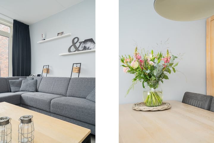 Foto 10 van Paardenbloem 18