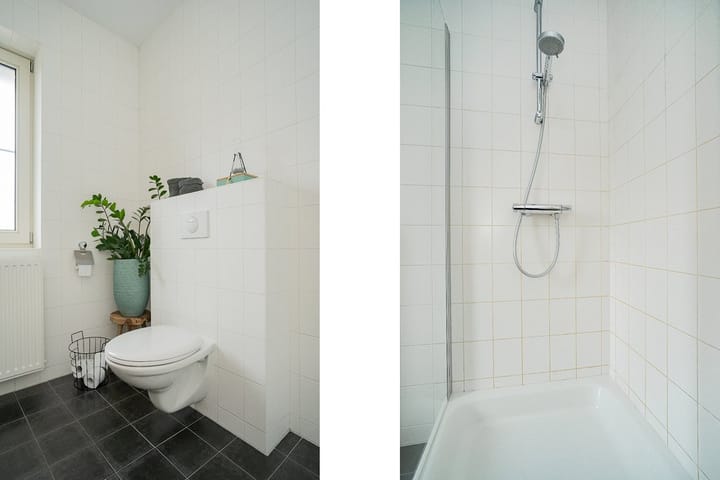 Foto 17 van Paardenbloem 18