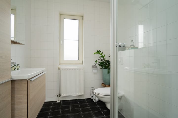 Foto 18 van Paardenbloem 18