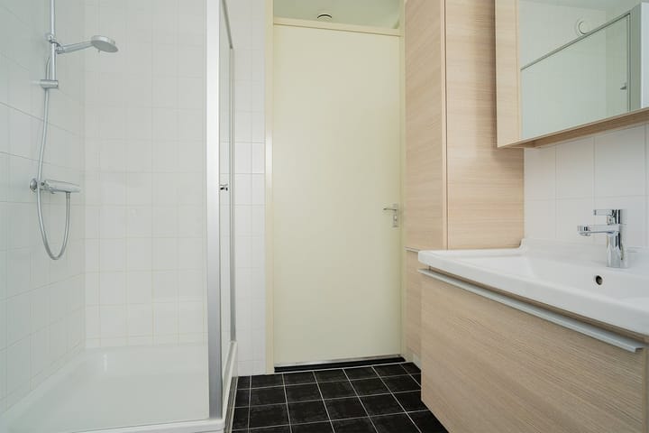 Foto 19 van Paardenbloem 18