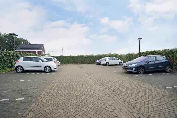 Foto 32 van Paardenbloem 18