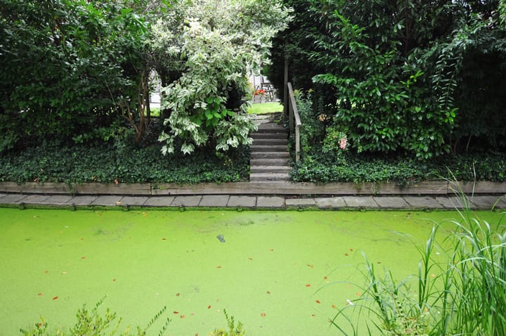 Photo 43 of Cederhof 5