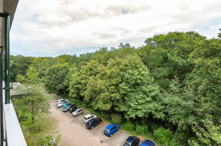 Foto 37 van Stoeplaan 11-F75