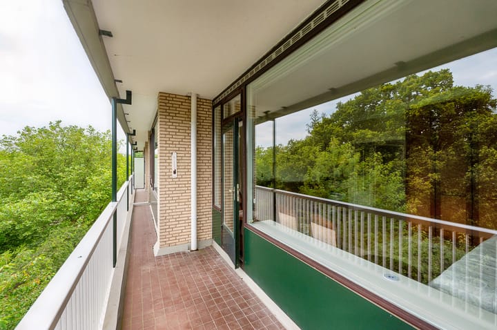 Foto 39 van Stoeplaan 11-F75