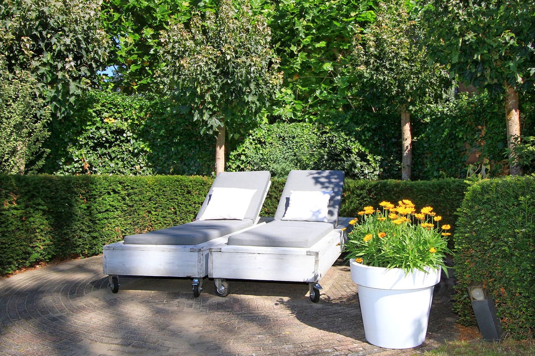 Foto 37 van Asselsestraat 290