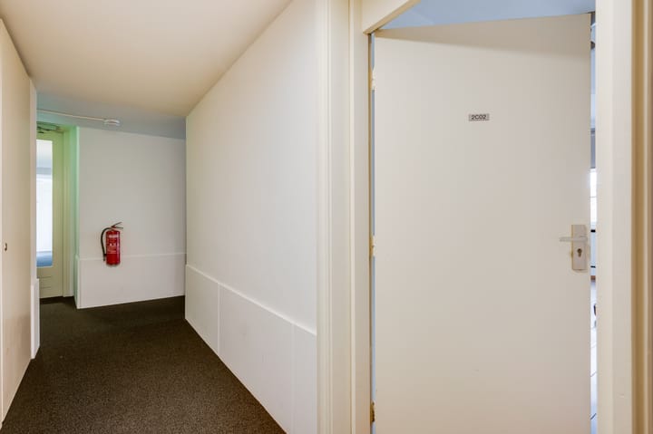 Foto 10 van Ruiterij 2-C02