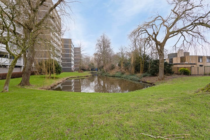 Foto 8 van Tulpentuin 199