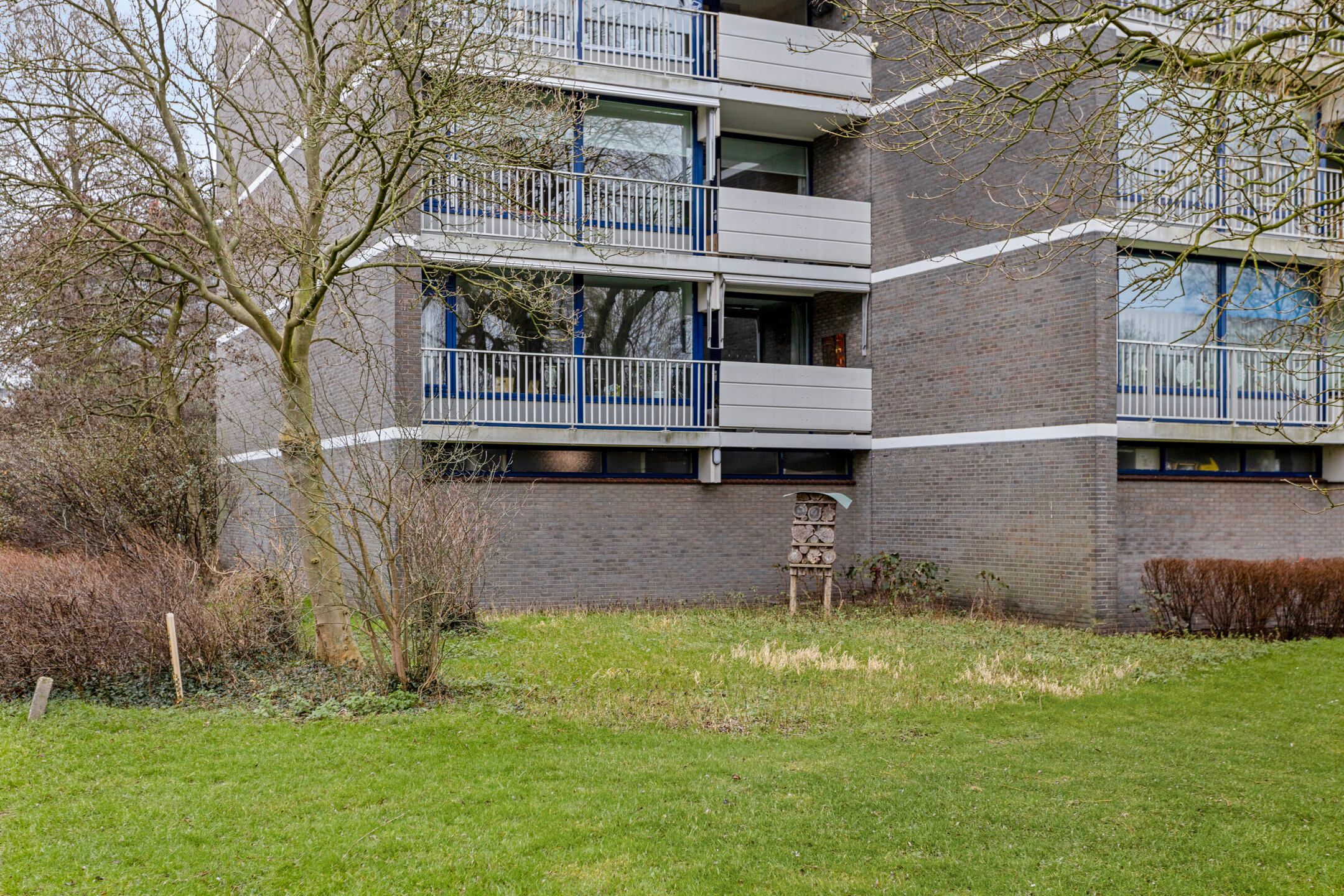 Foto 9 van Tulpentuin 199