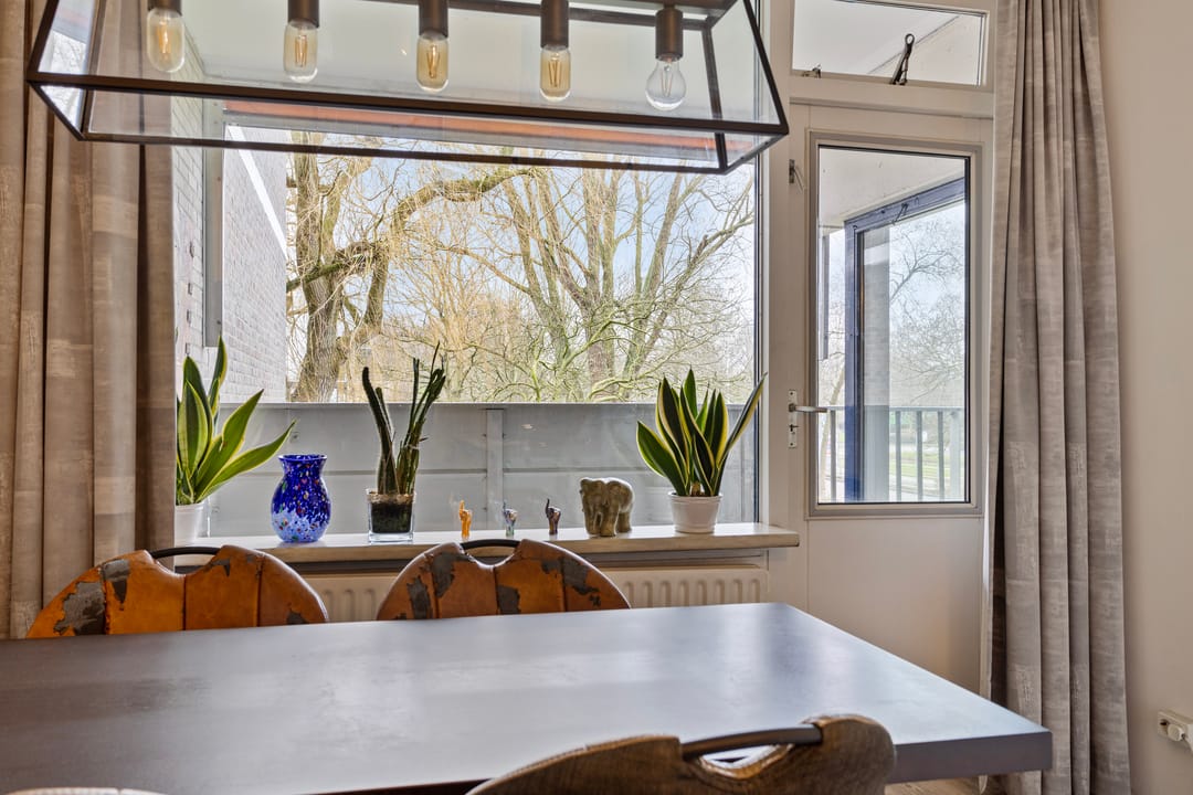 Foto 26 van Tulpentuin 199