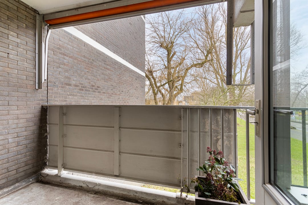 Foto 31 van Tulpentuin 199