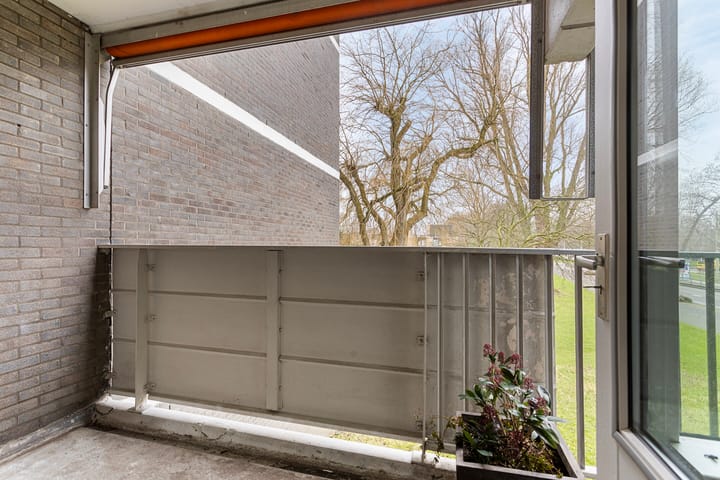 Foto 31 van Tulpentuin 199