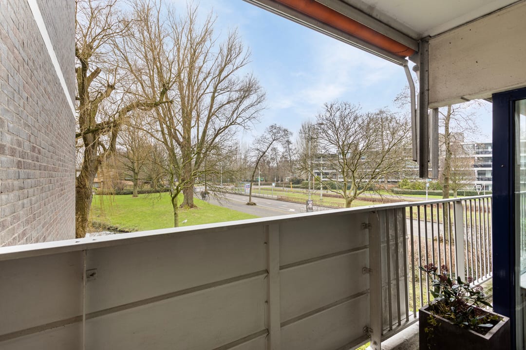 Foto 32 van Tulpentuin 199