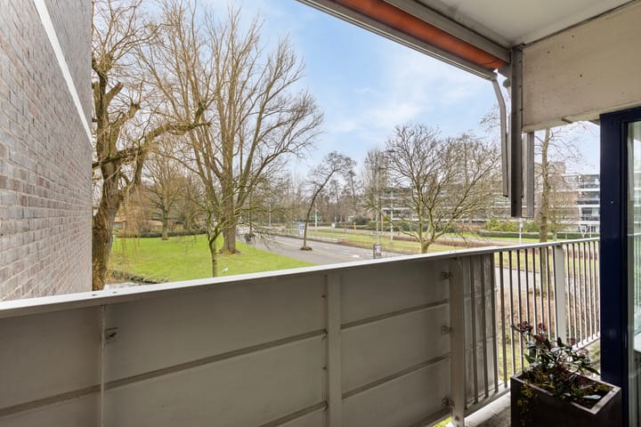 Foto 32 van Tulpentuin 199