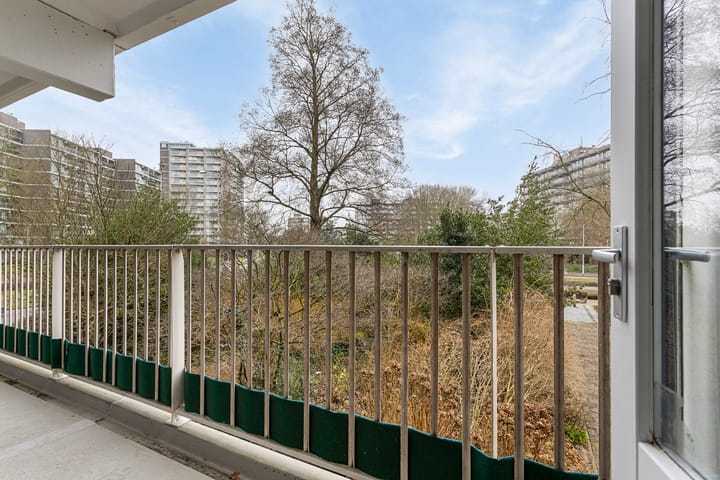 Foto 45 van Tulpentuin 199