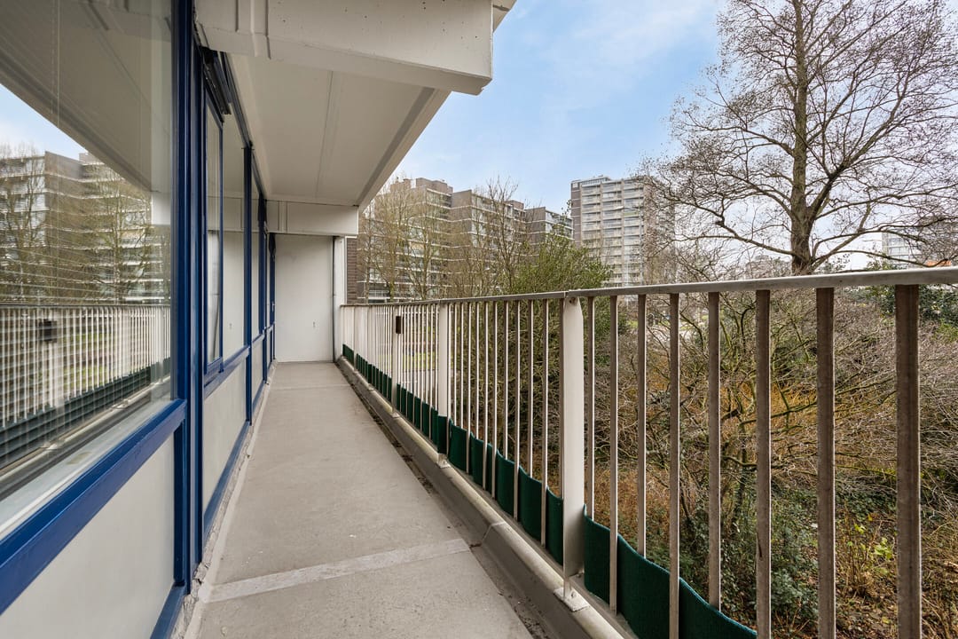 Foto 46 van Tulpentuin 199