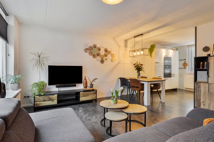 Foto 2 van Speelmansplaat 2