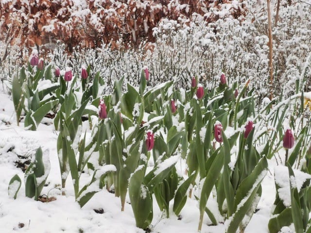 Foto 34 van Bijenkorf 21