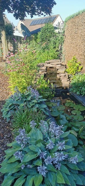 Foto 35 van Bijenkorf 21