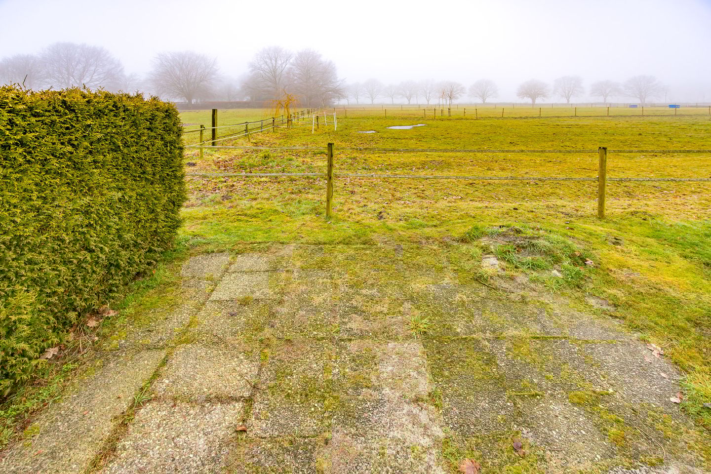 Photo 50 of Ter Apelkanaal West 123